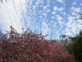 私募基金行业法律动态(2019年2-3月/总第14期)