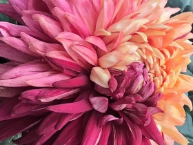 私募基金行业法律动态(2019年10月/总第21期)