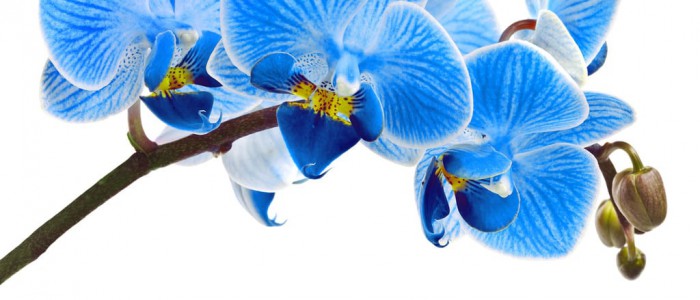 杨春宝高级律师就首例爬虫禁令接受PaRR记者采访