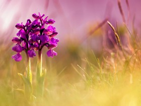 私募基金行业法律动态(2020年1-2月/总第24期)