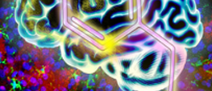 杨春宝律师受聘担任中科院脑科学与智能技术卓越创新中心法律顾问