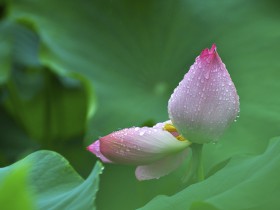 私募基金行业法律动态(2020年6月/总第28期)