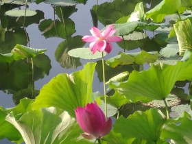 快评:最高法司法解释规范电商知识产权保护